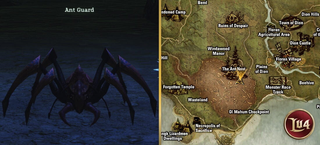 Ant Guard l2