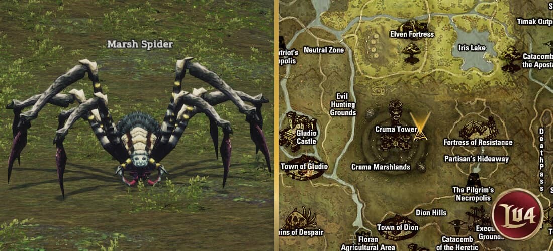 Marsh Spider l2