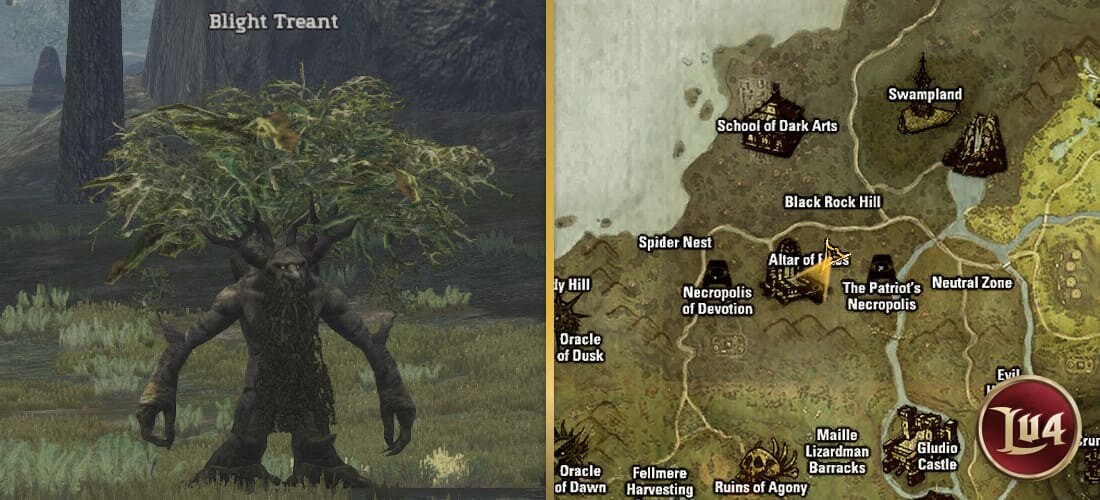 Blight Treant l2