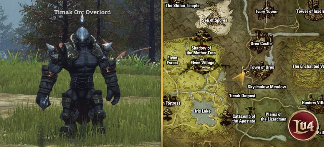 Timak Orc Overlord l2