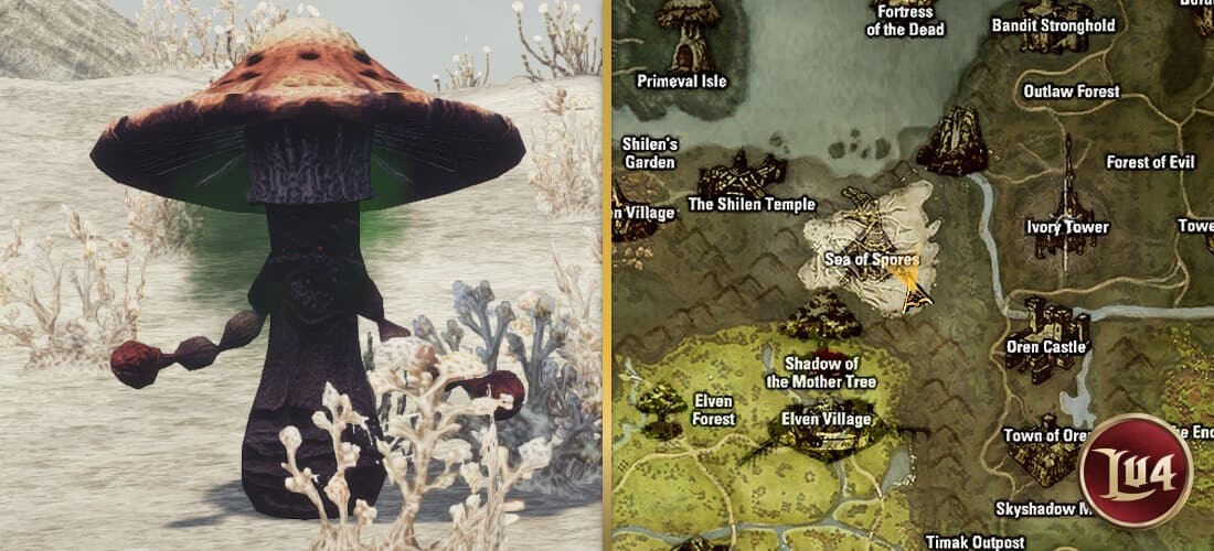 Giant Fungus l2