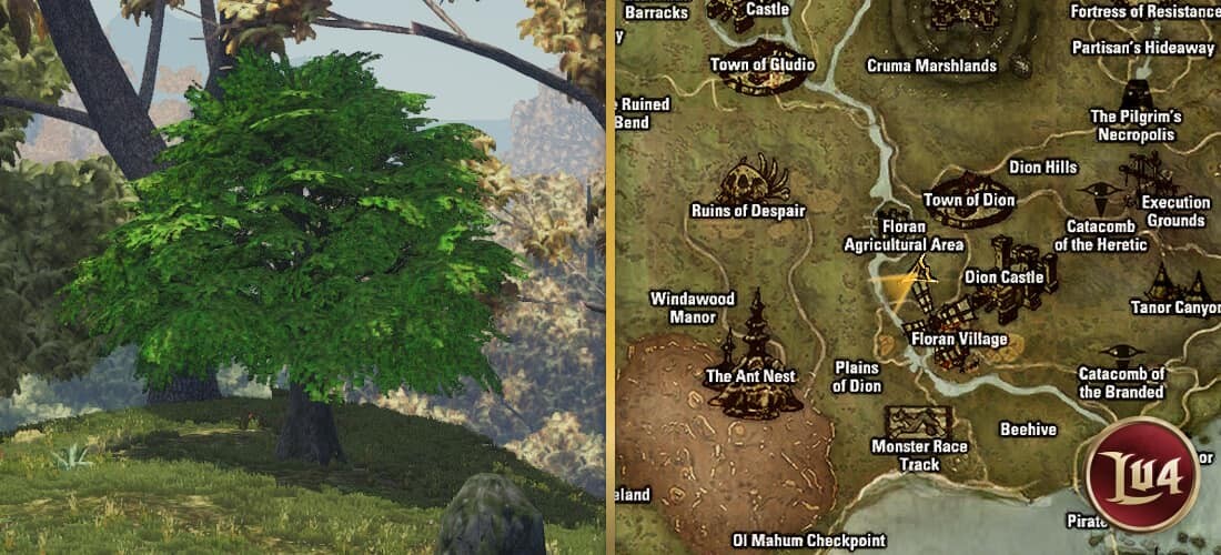 Tree l2
