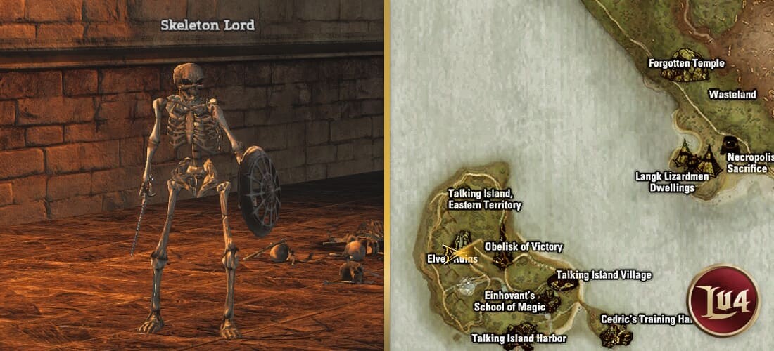 Skeleton Lord l2