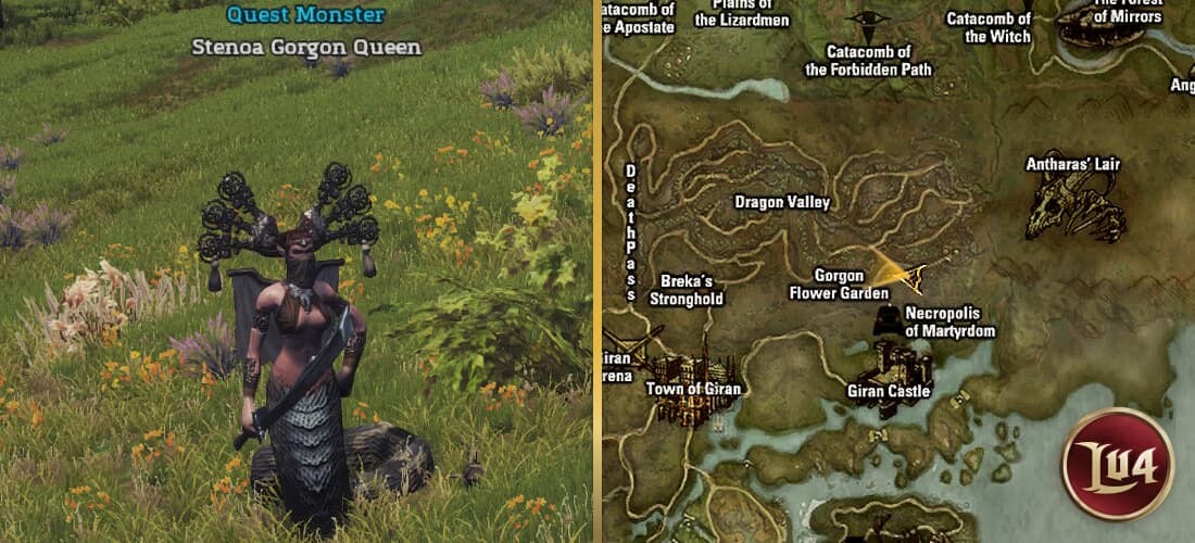 Stenoa Gorgon Queen l2