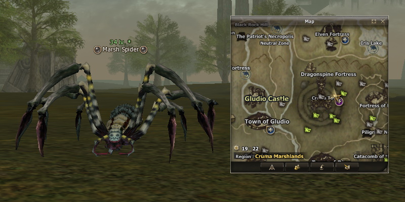 Marsh Spider l2