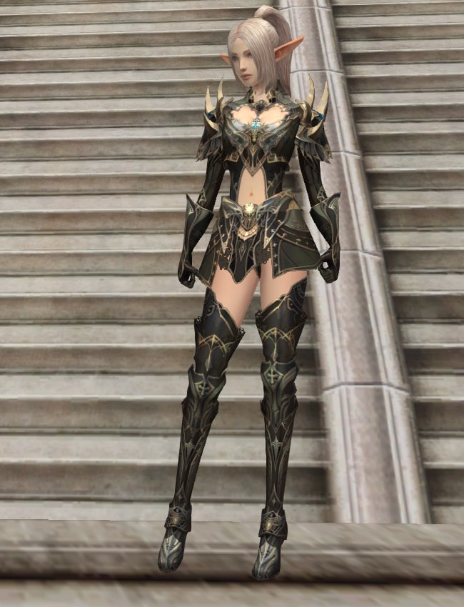 Eternal Peerless leather armor set l2