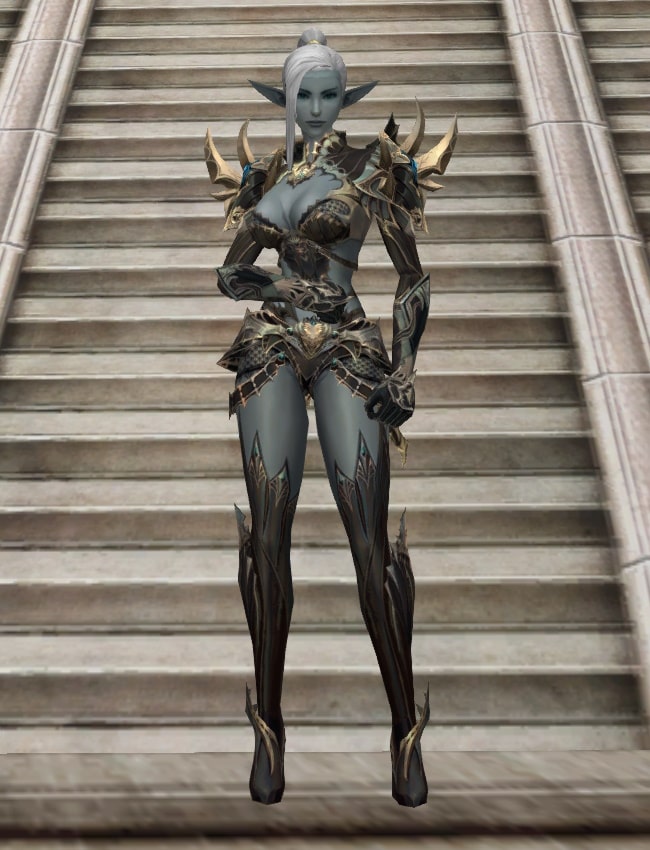 Eternal Peerless leather armor set l2