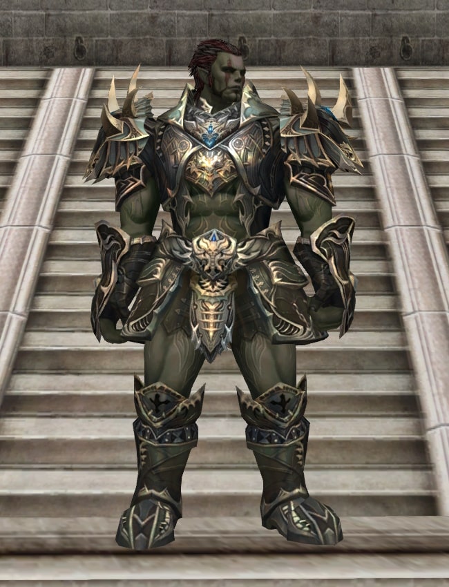 Eternal Peerless leather armor set l2