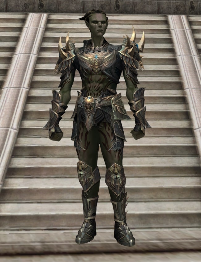 Eternal Peerless leather armor set l2