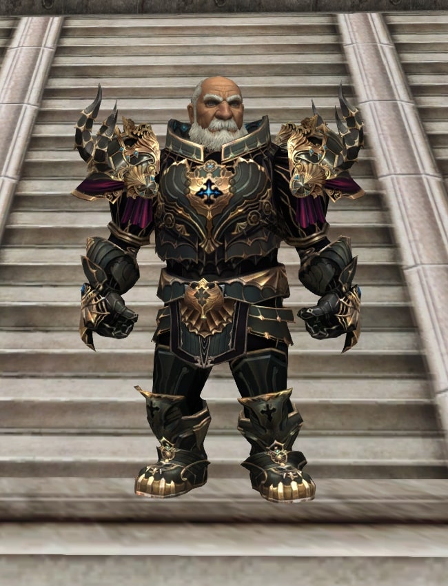 Eternal Peerless heavy armor set l2