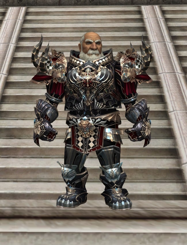 Eternal Perfect heavy armor set l2