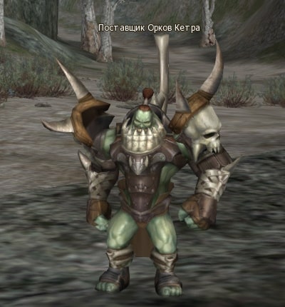 Поставщик Орков Кетра Ketra Orc Supporter