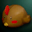 Shadow Item - Refined Chick Hat