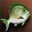 Small Pudgy Green Fish