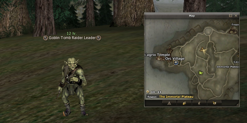 Goblin Tomb Raider Leader