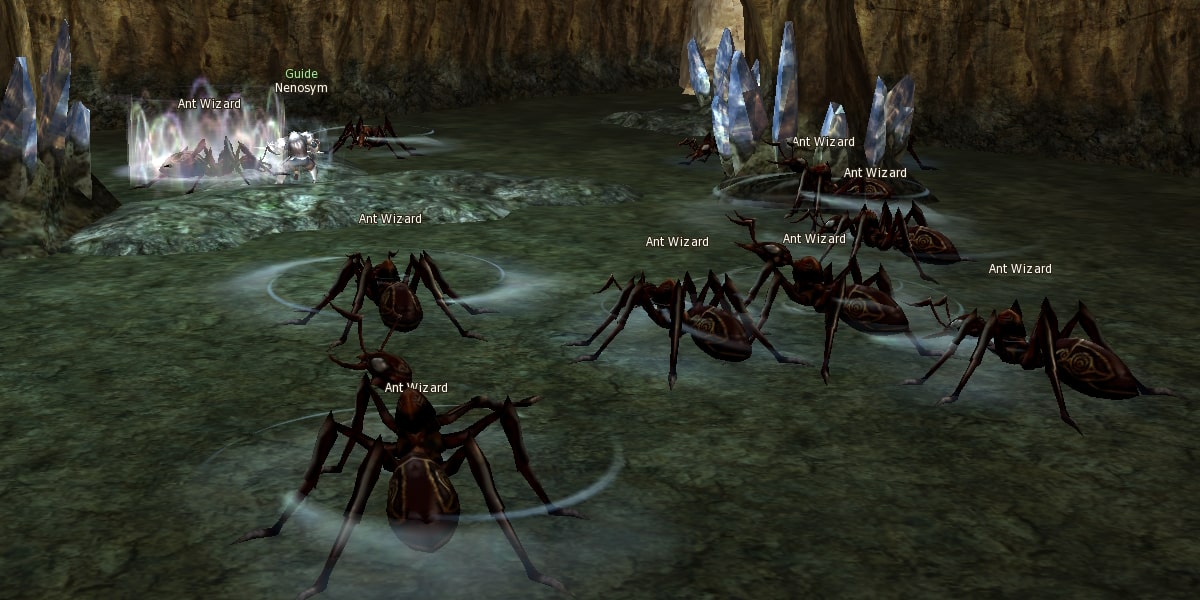 Queen Ant instance l2