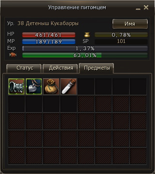 pet interface inventory l2